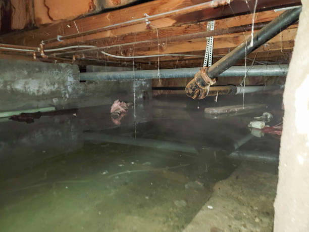 Water damage restoration insurance claims in MS