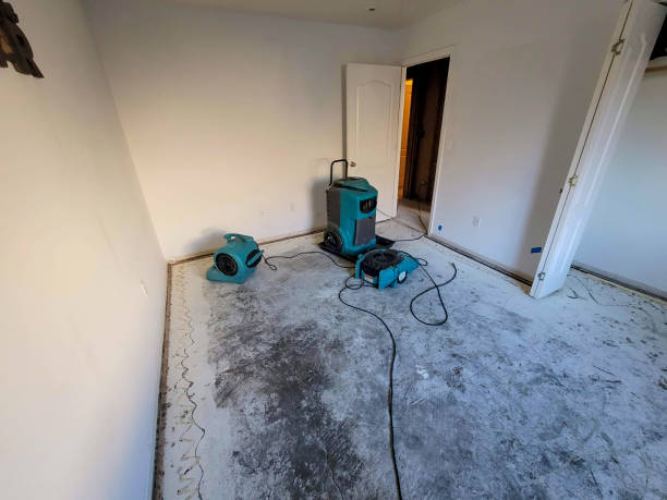 Professional Water damage restoration in MS