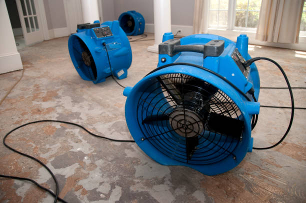 Best Commercial water damage restoration  in Hurley, MS