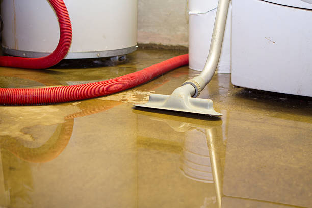 Best Local water damage restoration  in Hurley, MS