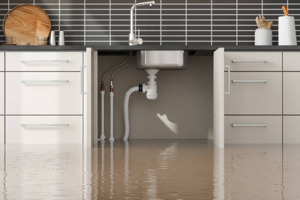 Best Water damage cleanup near me  in Hurley, MS